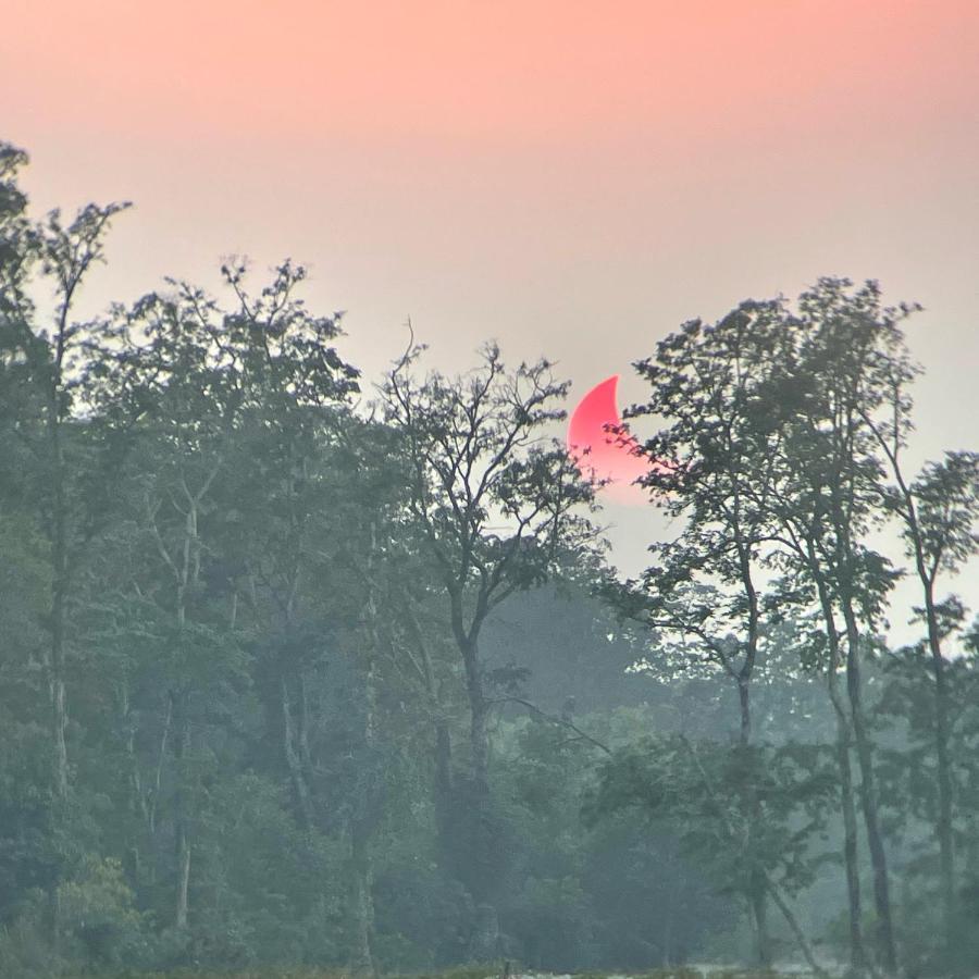 Corbett Nature Retreat Ramnagar  Exterior photo